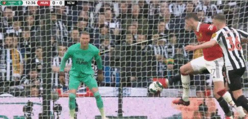 1677430244781082656.gif 1.gif